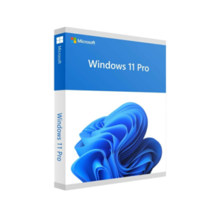 Microsoft Win 11 Pro 64Bit French 1pk DSP OEI DVD